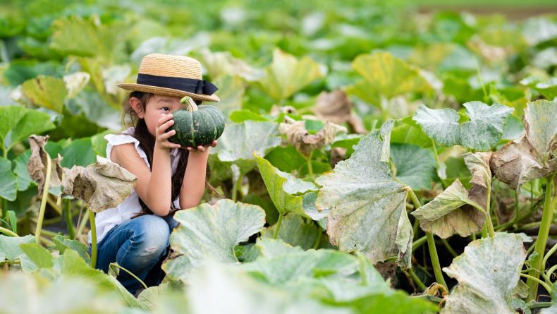 Young girl harvesting squash - activities for kids