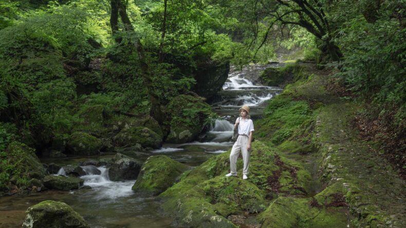 Okuizumo: Timeless Beauty Forged in the Heart of Japan