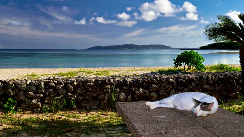 Early in the morning on Taketomi Island.