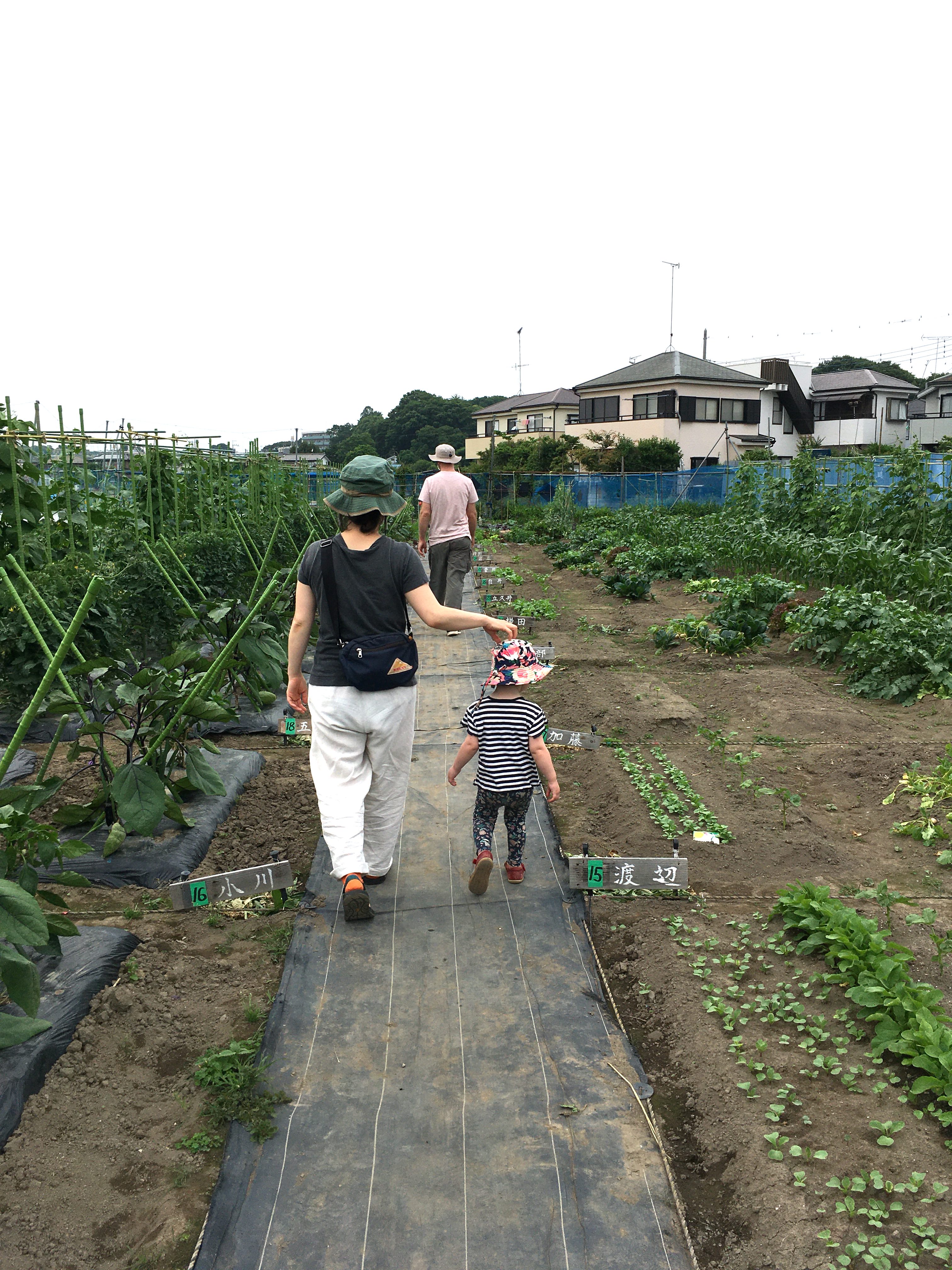People walking in a community garden