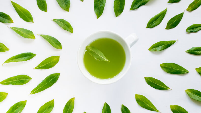 Shin-Cha: How to Enjoy the Freshest Japanese Tea