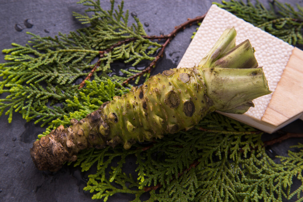 What is wasabi?