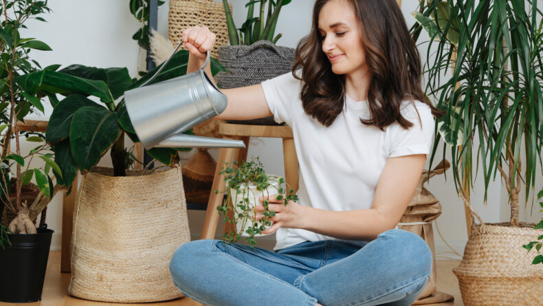 Interior Green: The Best Indoor Plants for Your Japanese Apartment