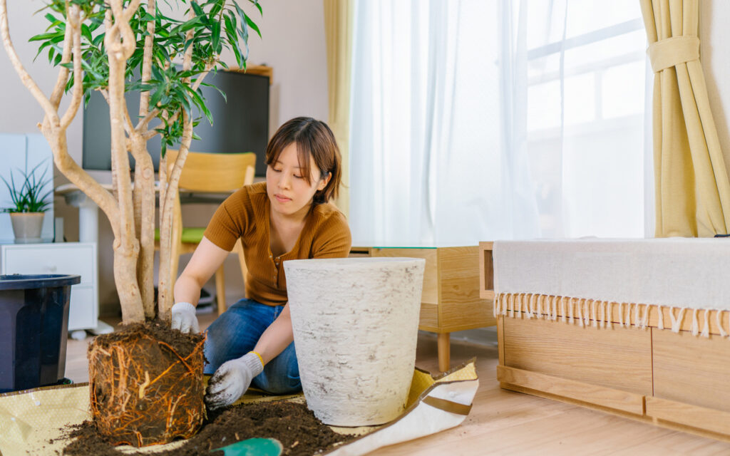 Tokyo Area Events for March 2026