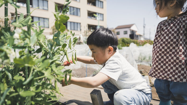 Learn How To Join A Community Garden in Japan