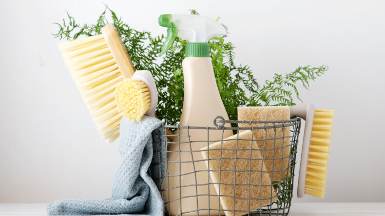 Japanese Cleaning Products & Natural Alternatives For Every Room