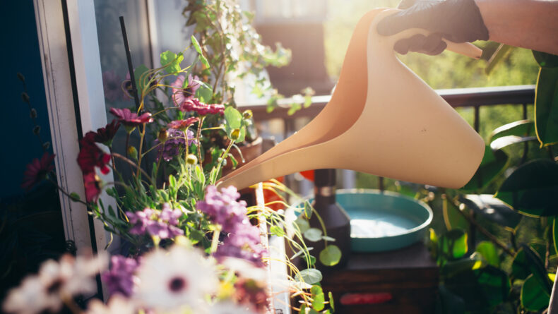Planting the Seeds of Your Spring Garden in Japan