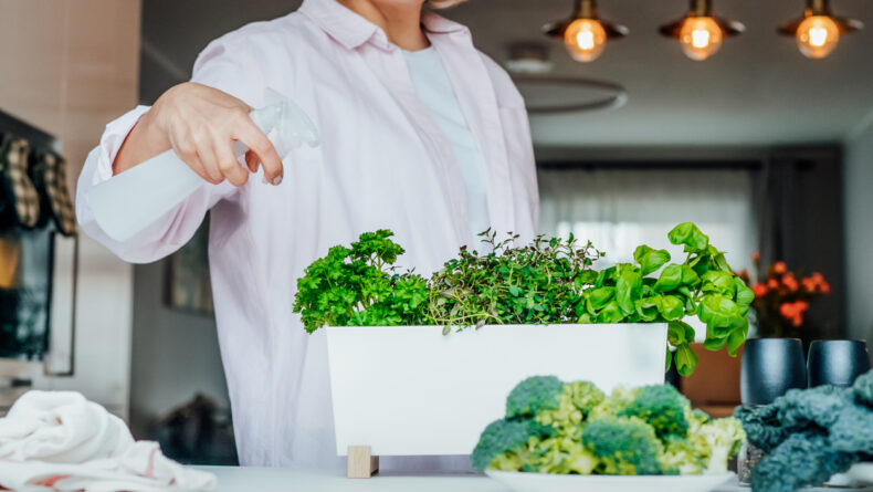 Grow Your Own Japanese Herbs and Spices