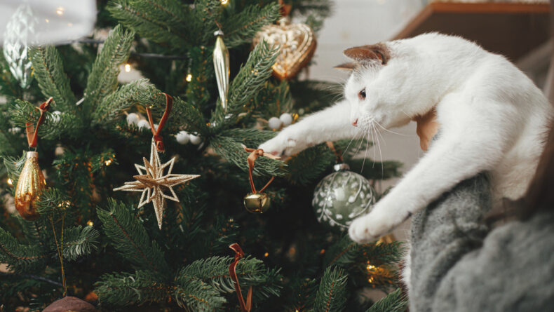 Cute cat together with woman decorating stylish christmas tree with vintage baubles. Pet and winter holidays. Woman in cozy sweater hugging adorable kitty in festive room. Merry Christmas!
