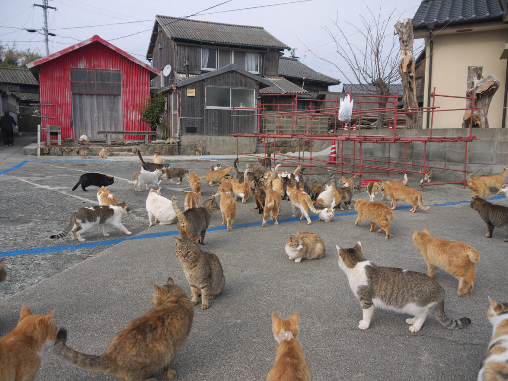 Japan’s Love Affair With Cats Japanese books cats