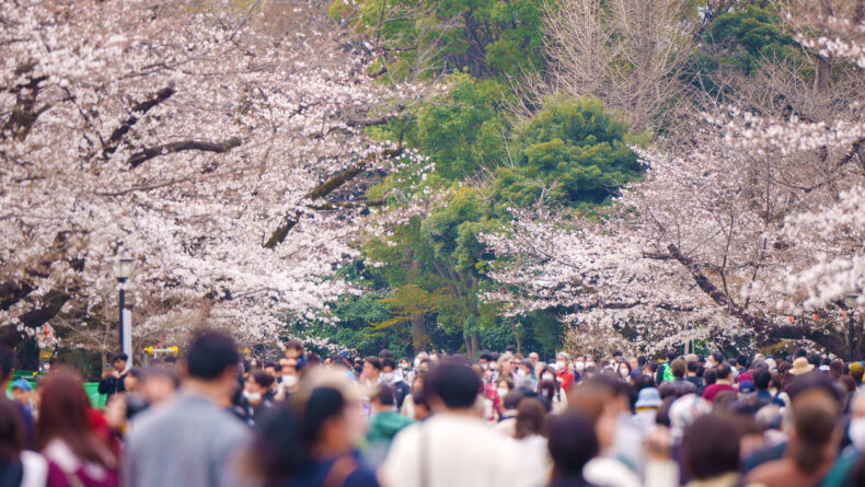 This Week: Tokyo Area Events