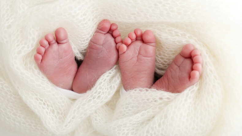 Legs, toes, feet and heels of newborn twins. Wrapped in a knitted white blanket. Studio macro photography of the legs of newborn twins, close-up. Two newborns.