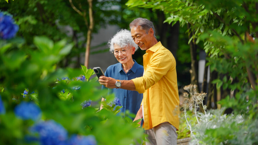 A senior couple is taking a walk and stopping by hydrangea flowers to take photos in the city in Tokyo.