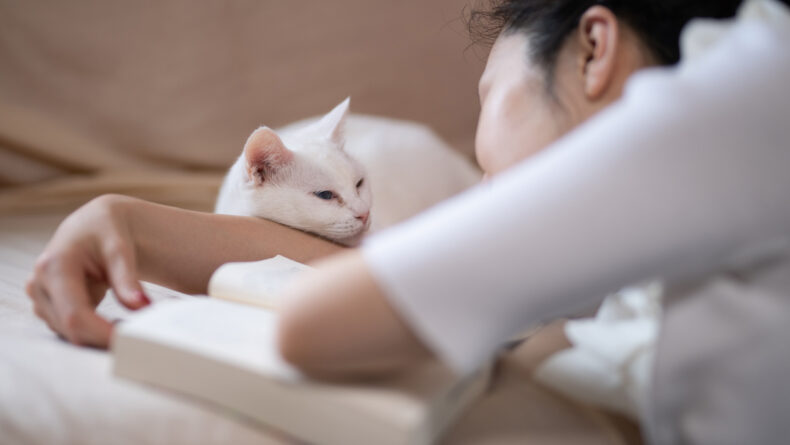 10 Japanese Books About Cats You Can Read in English