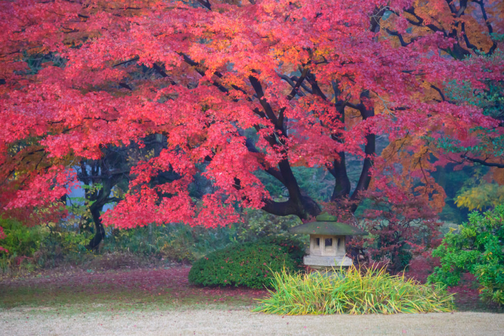 Rikugien Gardens