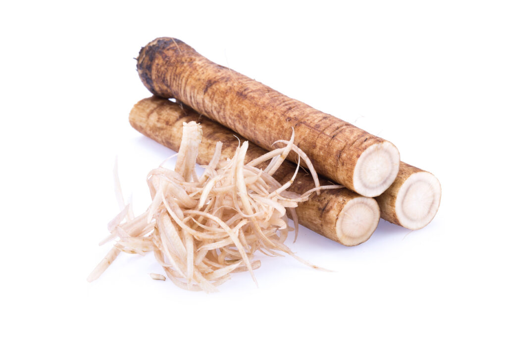 winter vegetables Japan Fresh Burdock roots on white background