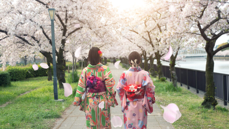 Cherry Blossom Season in Tokyo: Everything You Need to Know
