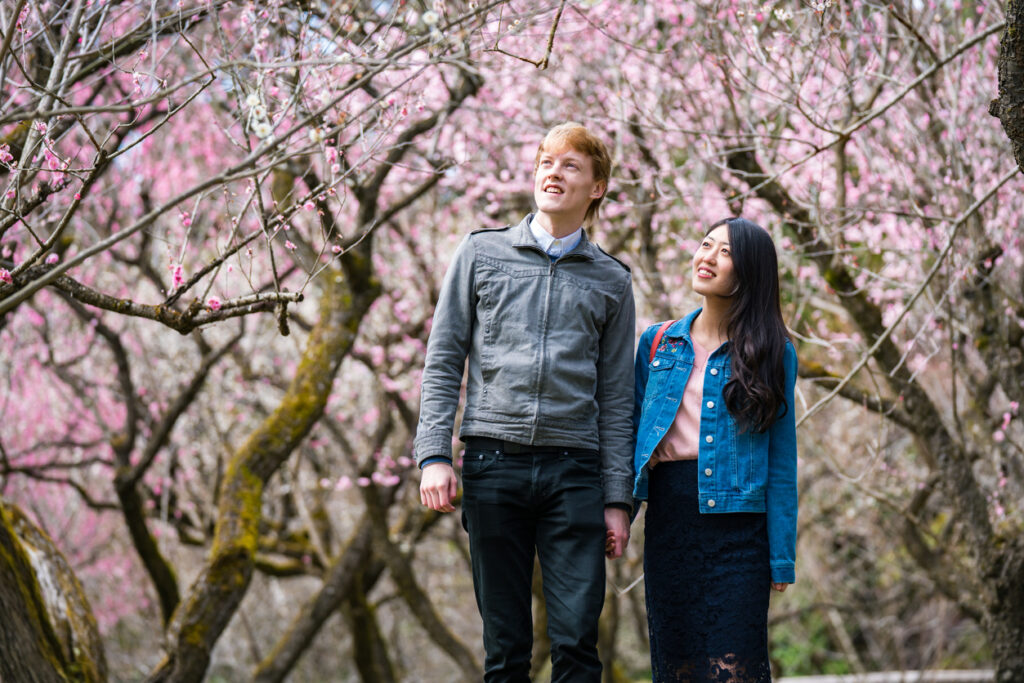 Plum blossom