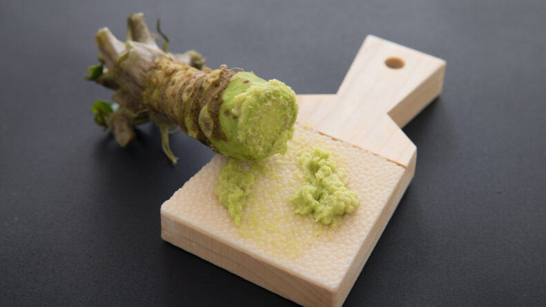 Japanese spice wasabi
