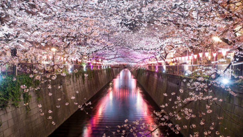 Nakameguro - A Guide to Tokyo's Most Chic and Artsy Neighborhood