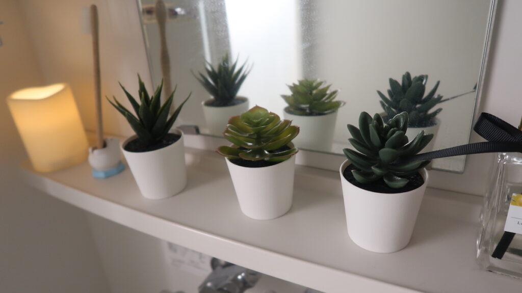 Mini Plants For The Win