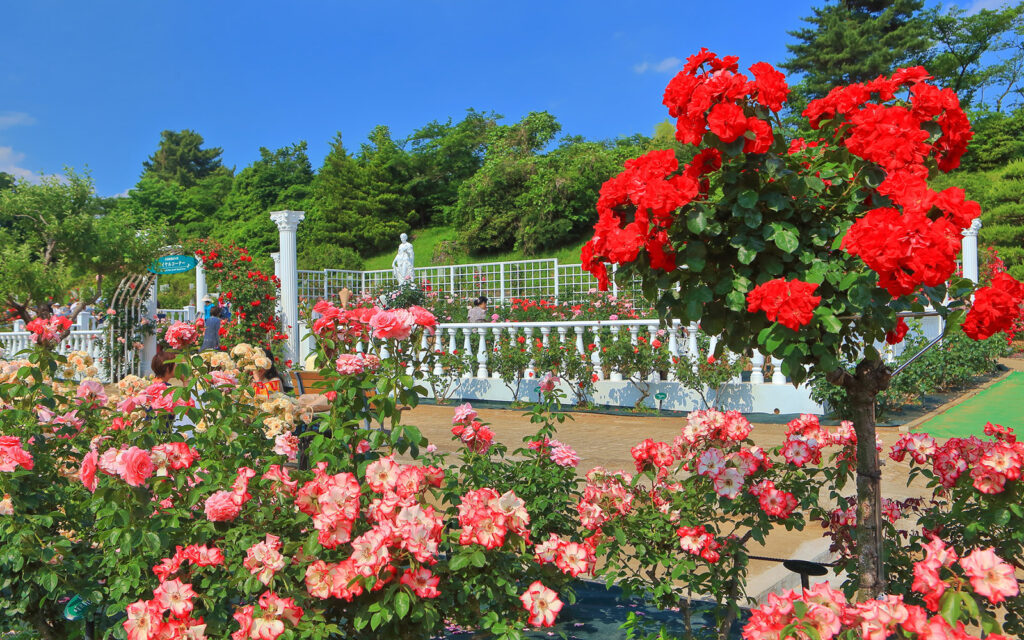 Ikuta Ryokuchi Park