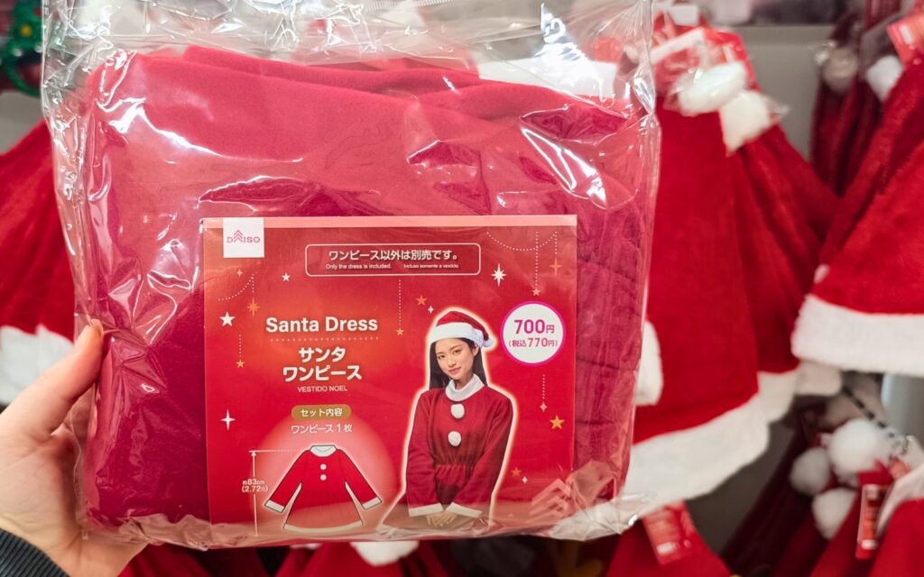 Santa Costumes & Accessories