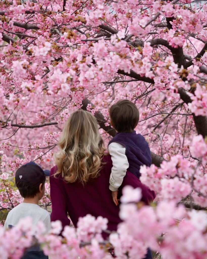 Savvy Tokyo Sakura Photo Contest 2023: Our Top 10 Photos
