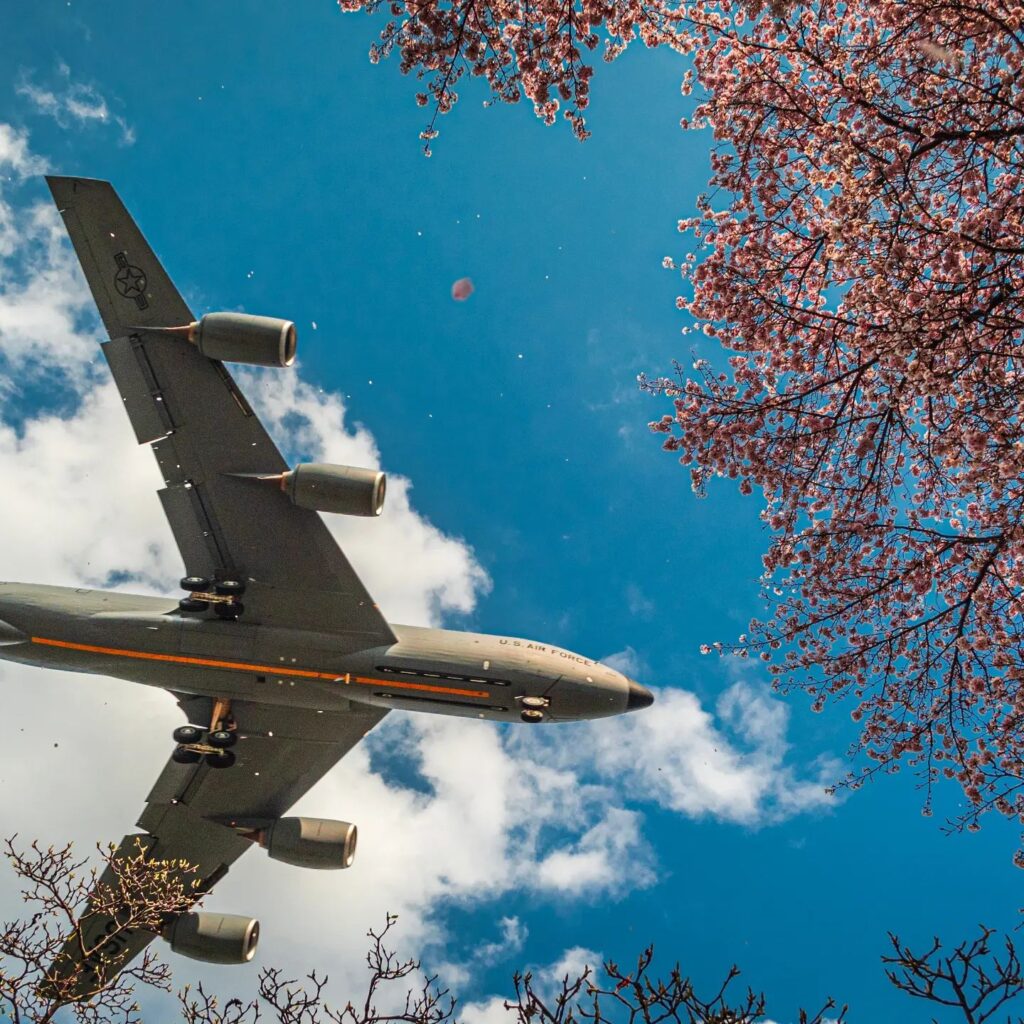 Savvy Tokyo Sakura Photo Contest 2023: Our Top 10 Photos